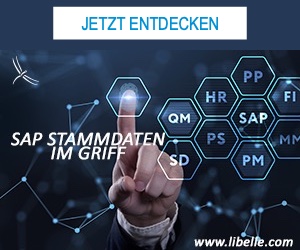 SAP-Stammdaten